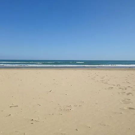 Zenit Riccione