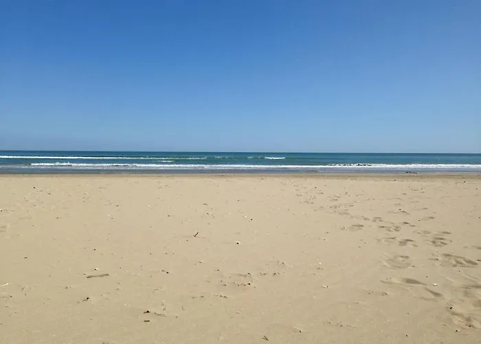 Zenit Riccione